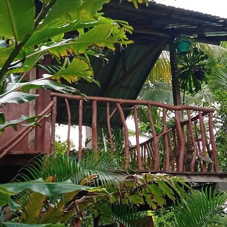 Sigiri Panaromic Tree House Villa Sigiriya Eksteriør bilde