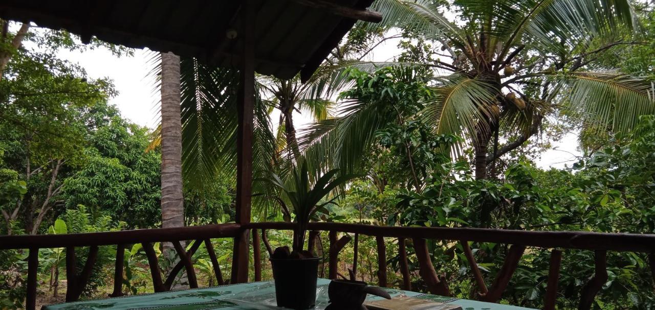 Sigiri Panaromic Tree House Villa Sigiriya Eksteriør bilde