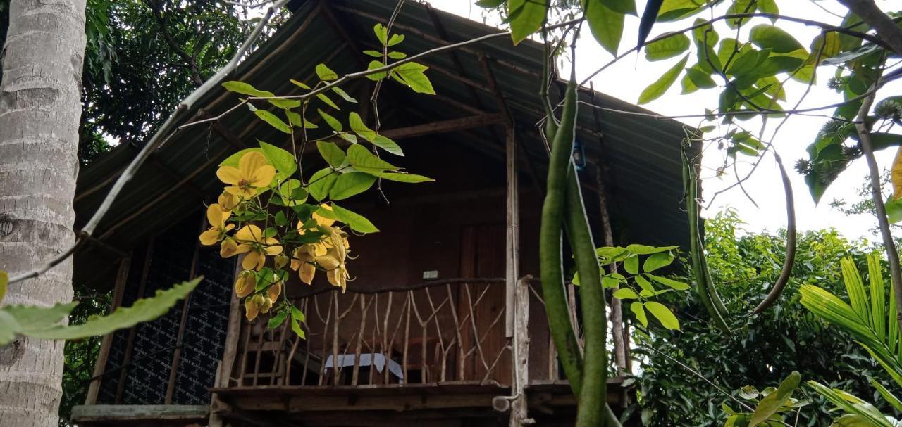 Sigiri Panaromic Tree House Villa Sigiriya Eksteriør bilde