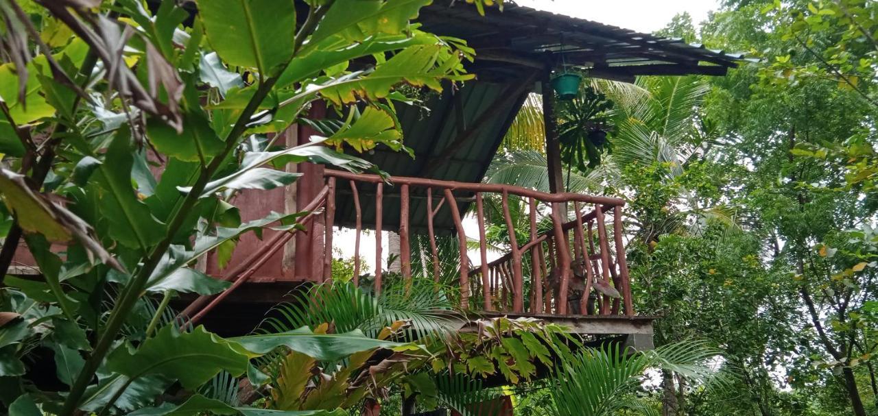 Sigiri Panaromic Tree House Villa Sigiriya Eksteriør bilde