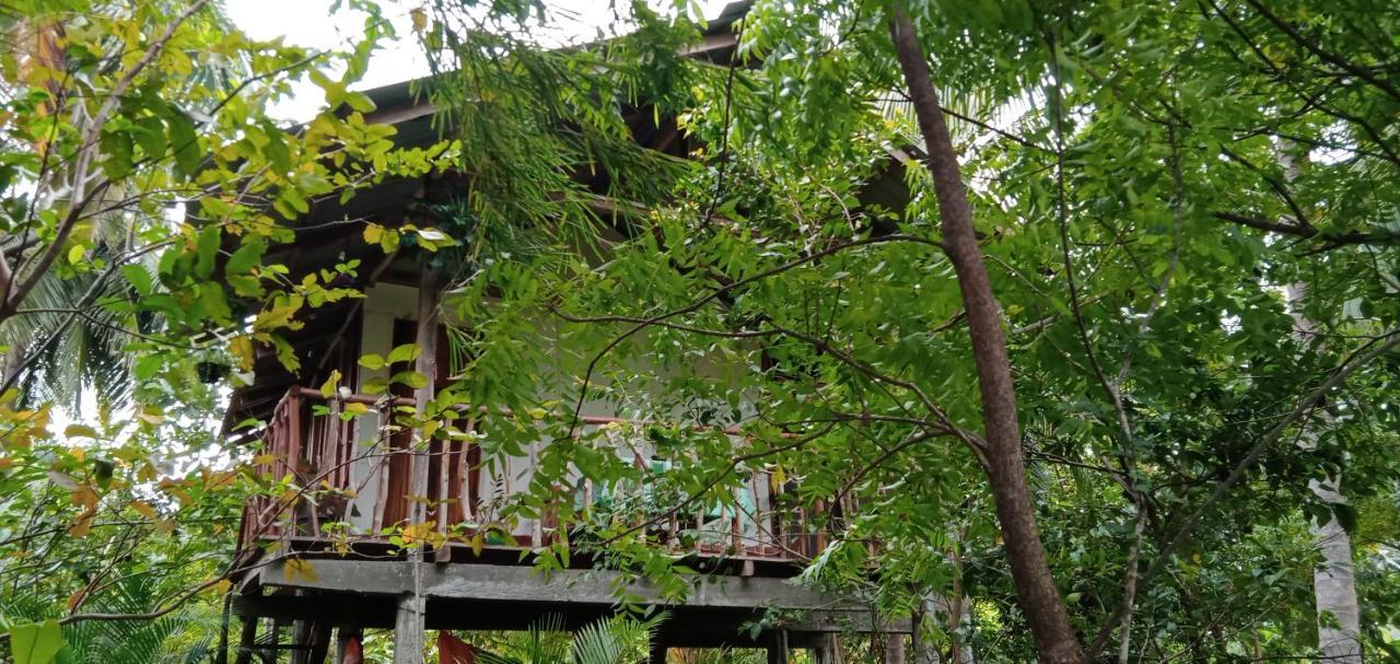 Sigiri Panaromic Tree House Villa Sigiriya Eksteriør bilde