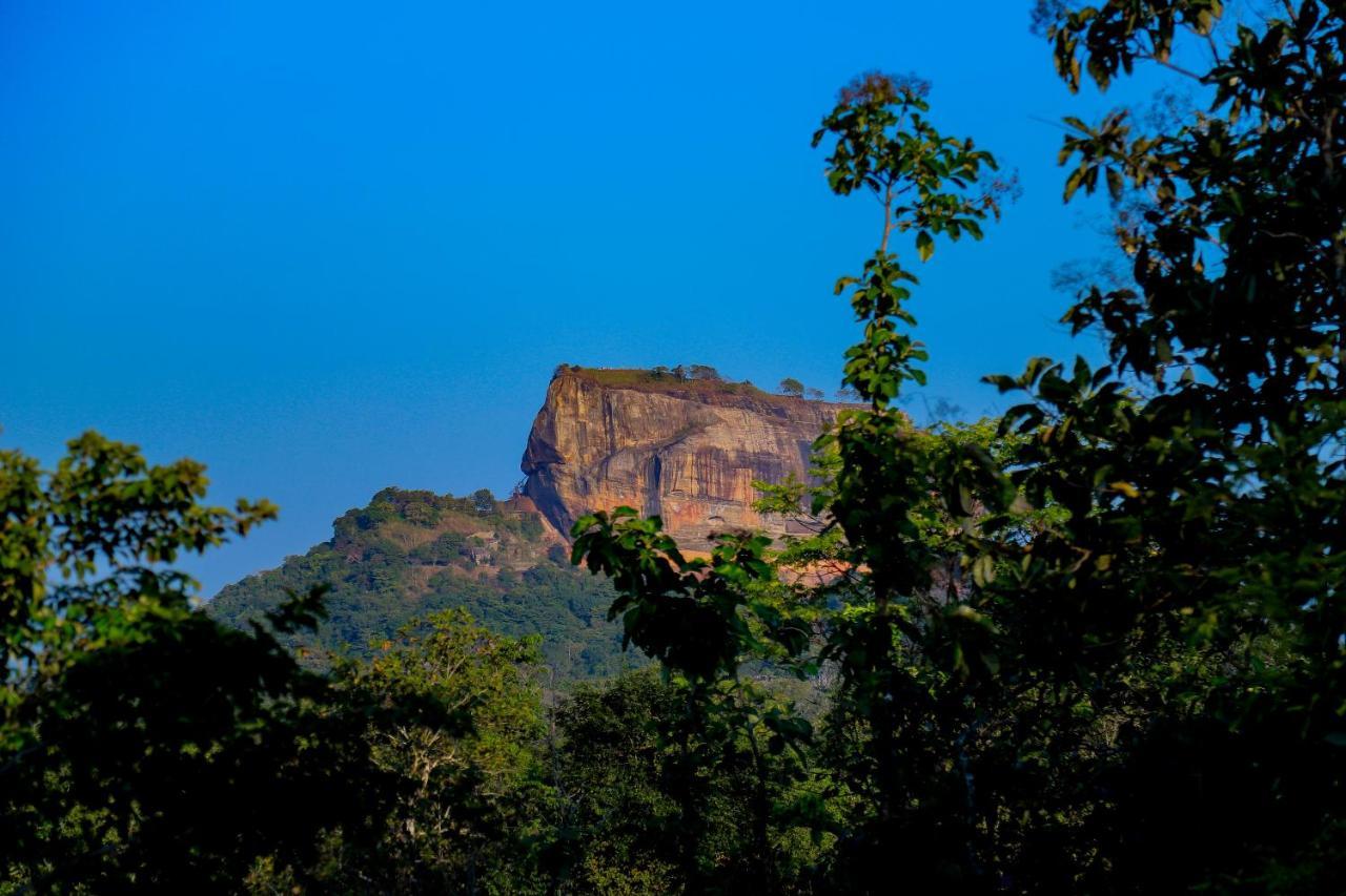 Sigiri Panaromic Tree House Villa Sigiriya Eksteriør bilde